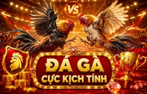 Sảnh Đá Gà miamiboutique18 trên mobile